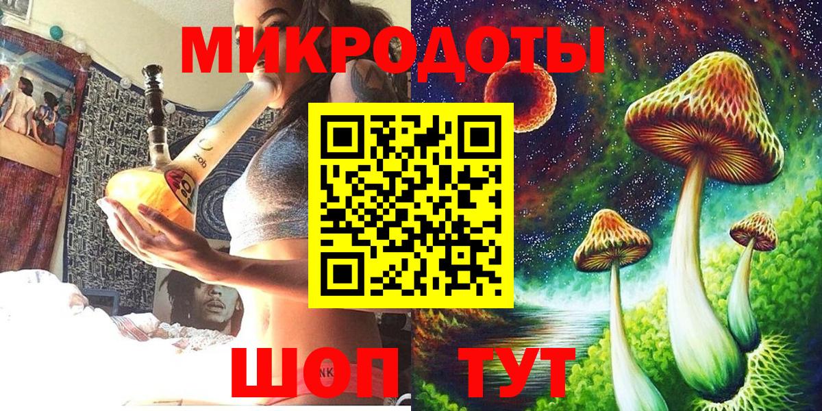 Галлюциногенные грибы Psilocybine cubensis Горно-Алтайск